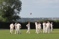 1085_Celebrate-wicket_2816x1686